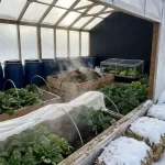 10 Effective Ways to Heat Your Greenhouse All Winter Without Electricity