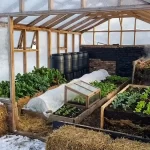 10 Ways to Heat Your Greenhouse in Winter Without Electricity