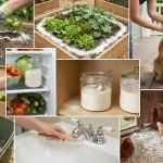 7 Ways Diatomaceous Earth Will Transform Your Home and Garden