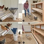 8 Clever Chicken Coop Poop Chute Designs for Fast Cleanup