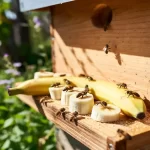 Bananas for Bees: Natural Feeding Tips for Stronger Colonies