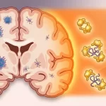 Can Exposure to Intense Heat Help Stall the Onset of Alzheimer’s Disease?