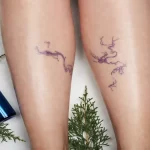 Cypress Oil for Varicose Veins: What Doctors Really Say