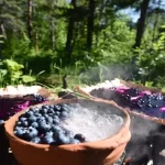 How First Nations Preserved Blueberries for Years Naturally