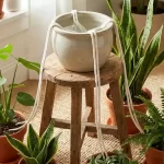 How to Keep Your Houseplants Alive While on Vacation: The Ultimate DIY Guide