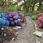 Hydrangea Colors & Soil pH: How To Make Your Blooms Blue, Pink, Or Even Purple