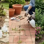 Is Using Vinegar in Your Garden Actually Doing More Harm Than Good?