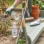 Warning: Using Vinegar in Your Garden Could Do More Harm Than Good