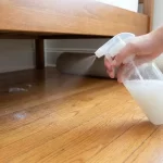 Why People Are Misting Vinegar Under Their Beds: The Science and Strategy Behind the Trend